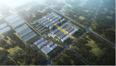 壹号娱乐app官网(中国)官方版下载