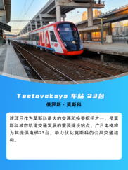 壹号娱乐app官网(中国)官方版下载